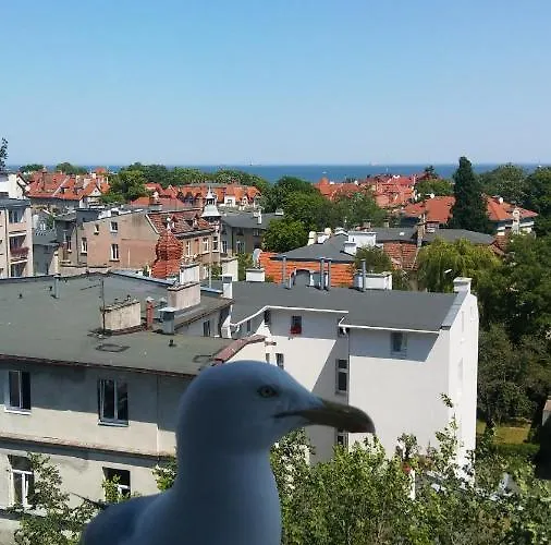 Z Widokiem Na Morze * Sopot